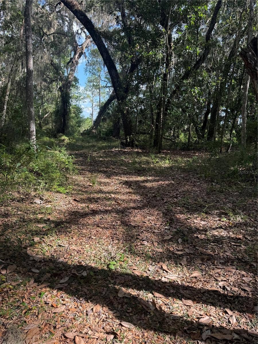Property photo for 5612 E HIGHWAY 316, Citra, FL