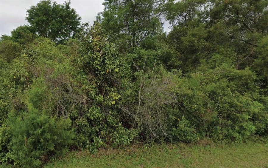Property photo for NE 236TH LANE, Fort Mc Coy, FL