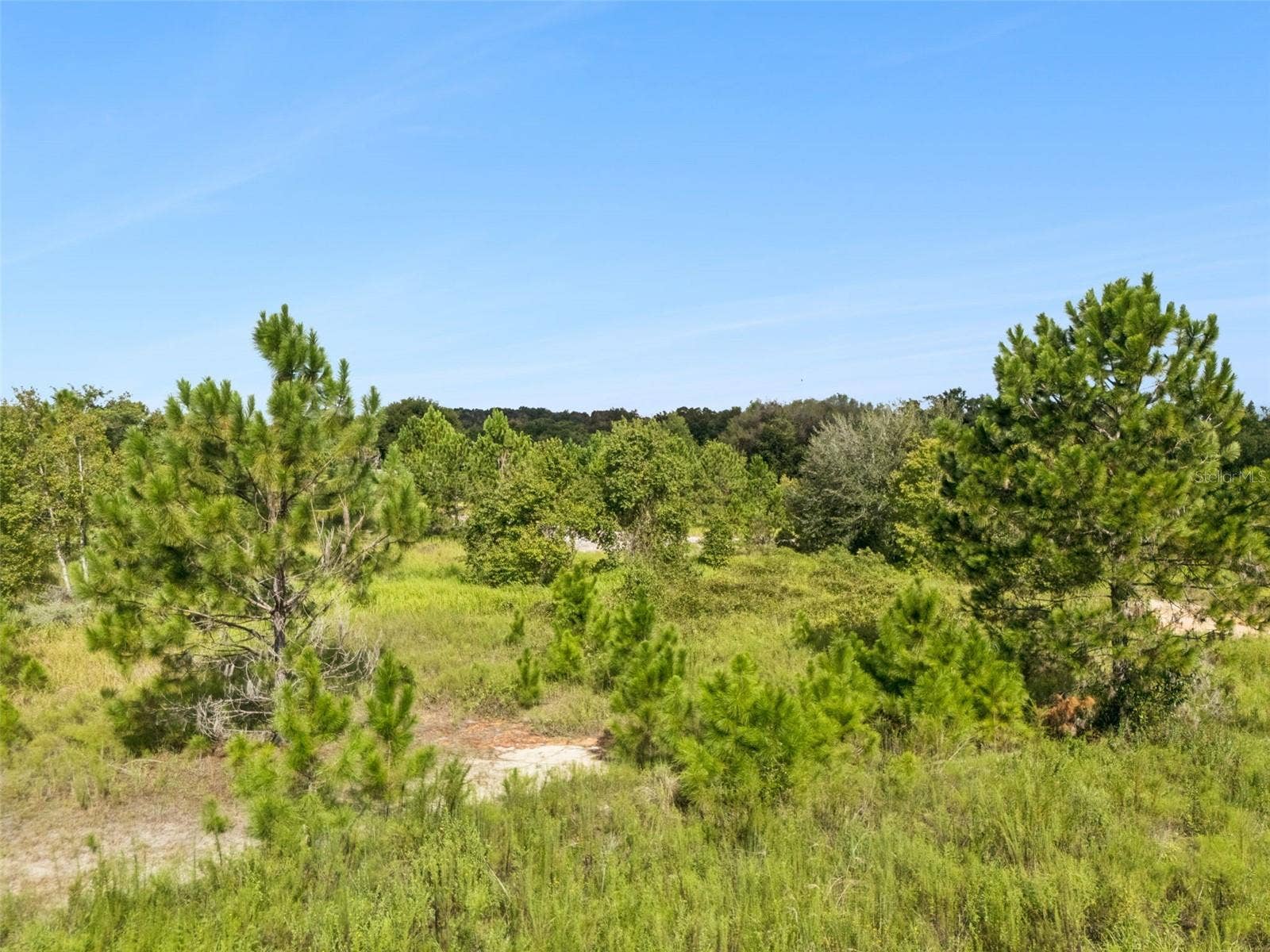 SUGARLOAF MOUNTAIN ROAD, Clermont, FL 34711 SUGARLOAF MOUNTAIN ROAD, Clermont, FL 34711