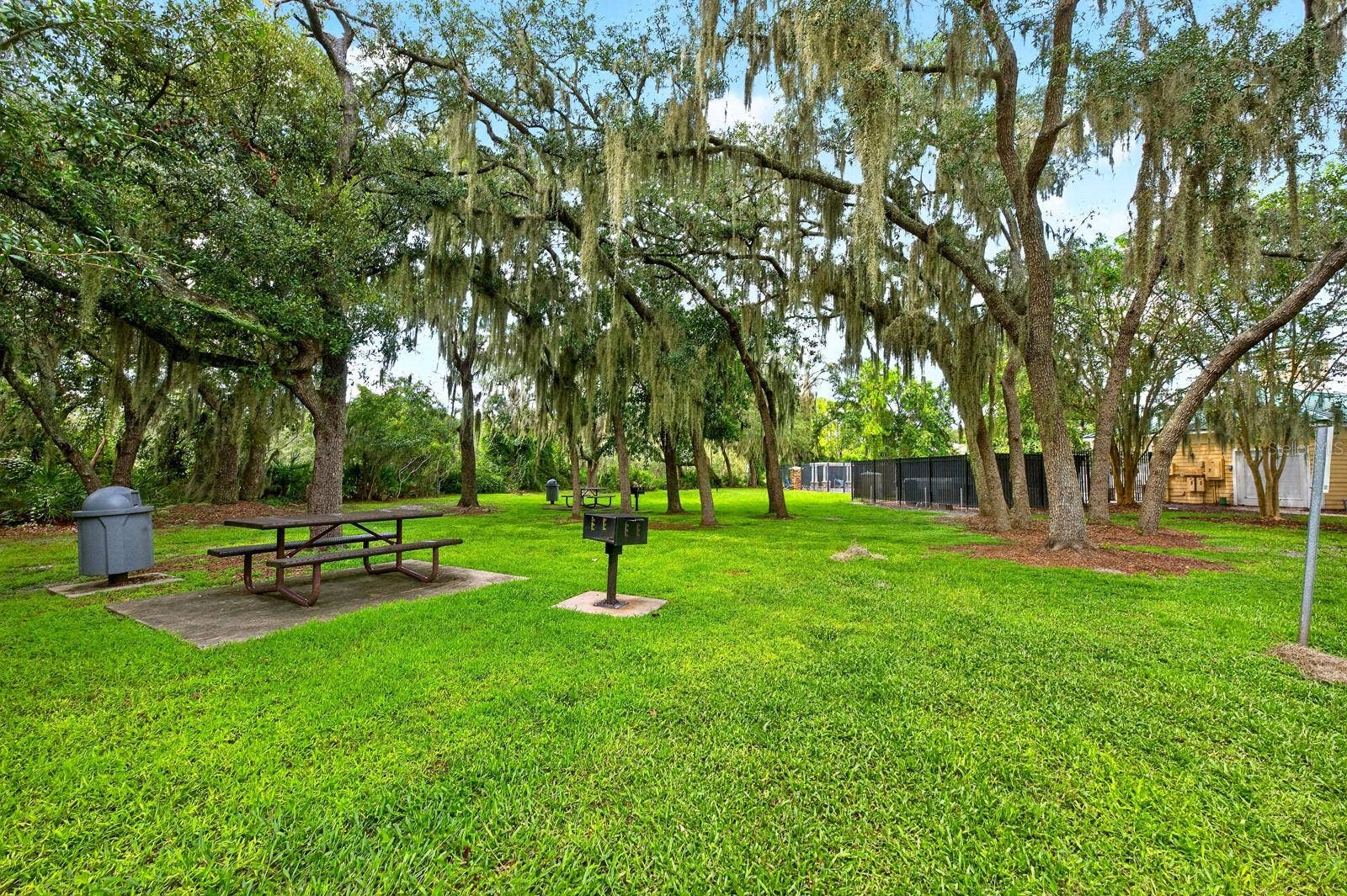 13424 HOPKINTON COURT, Windermere, FL 34786 Park.
