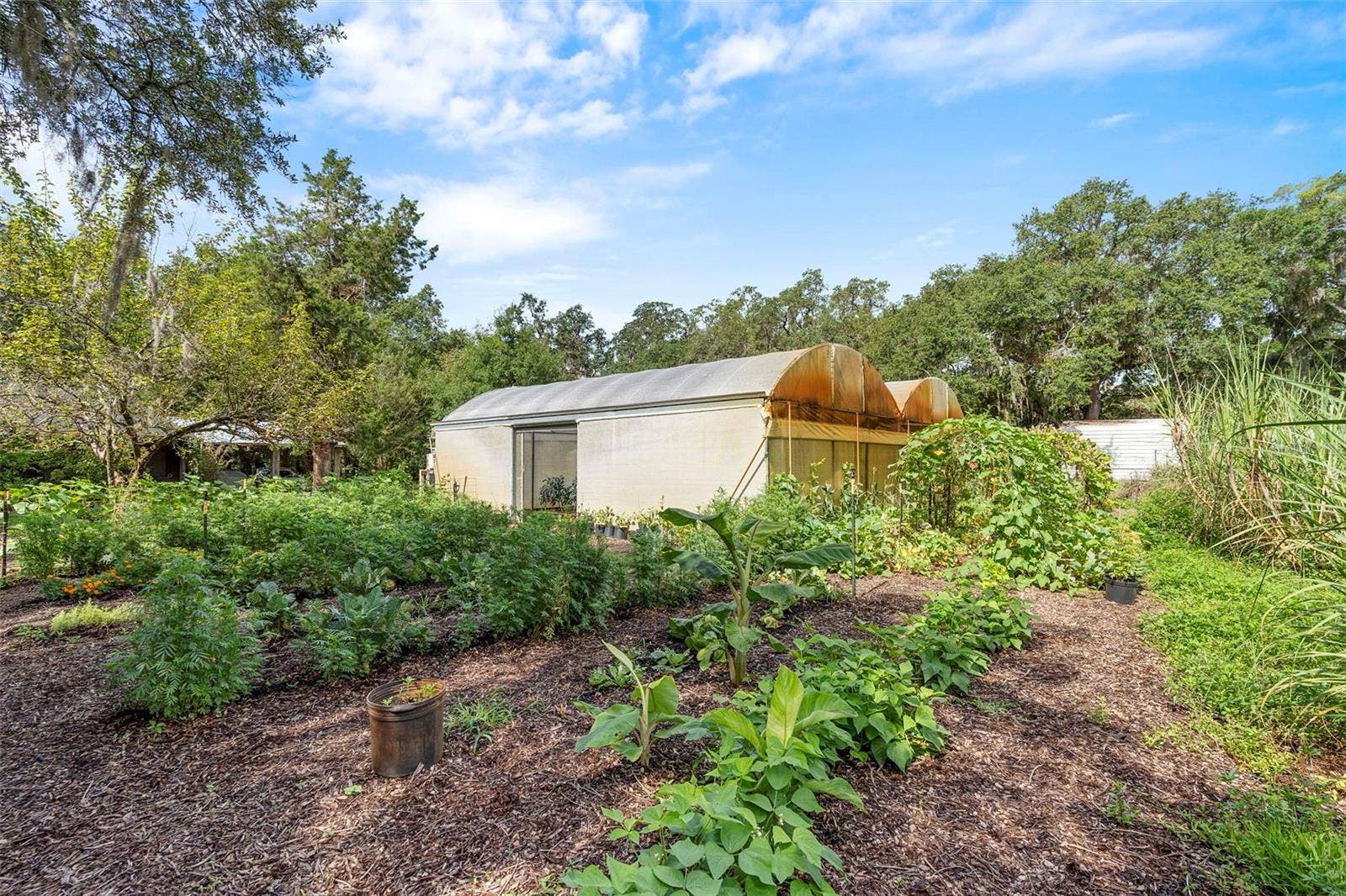 2016 LEWIS ROAD, Leesburg, FL 34748