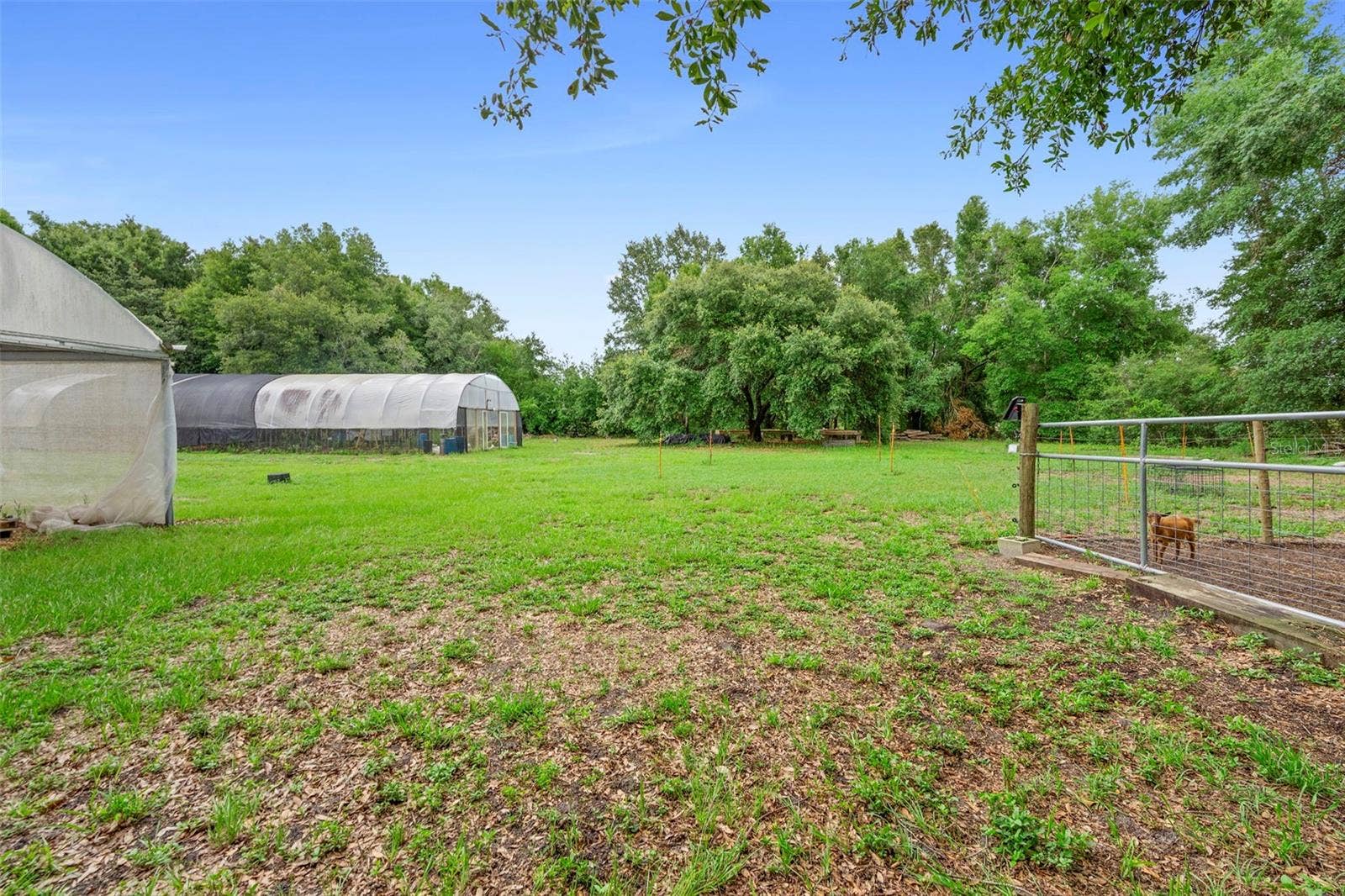2016 LEWIS ROAD, Leesburg, FL 34748