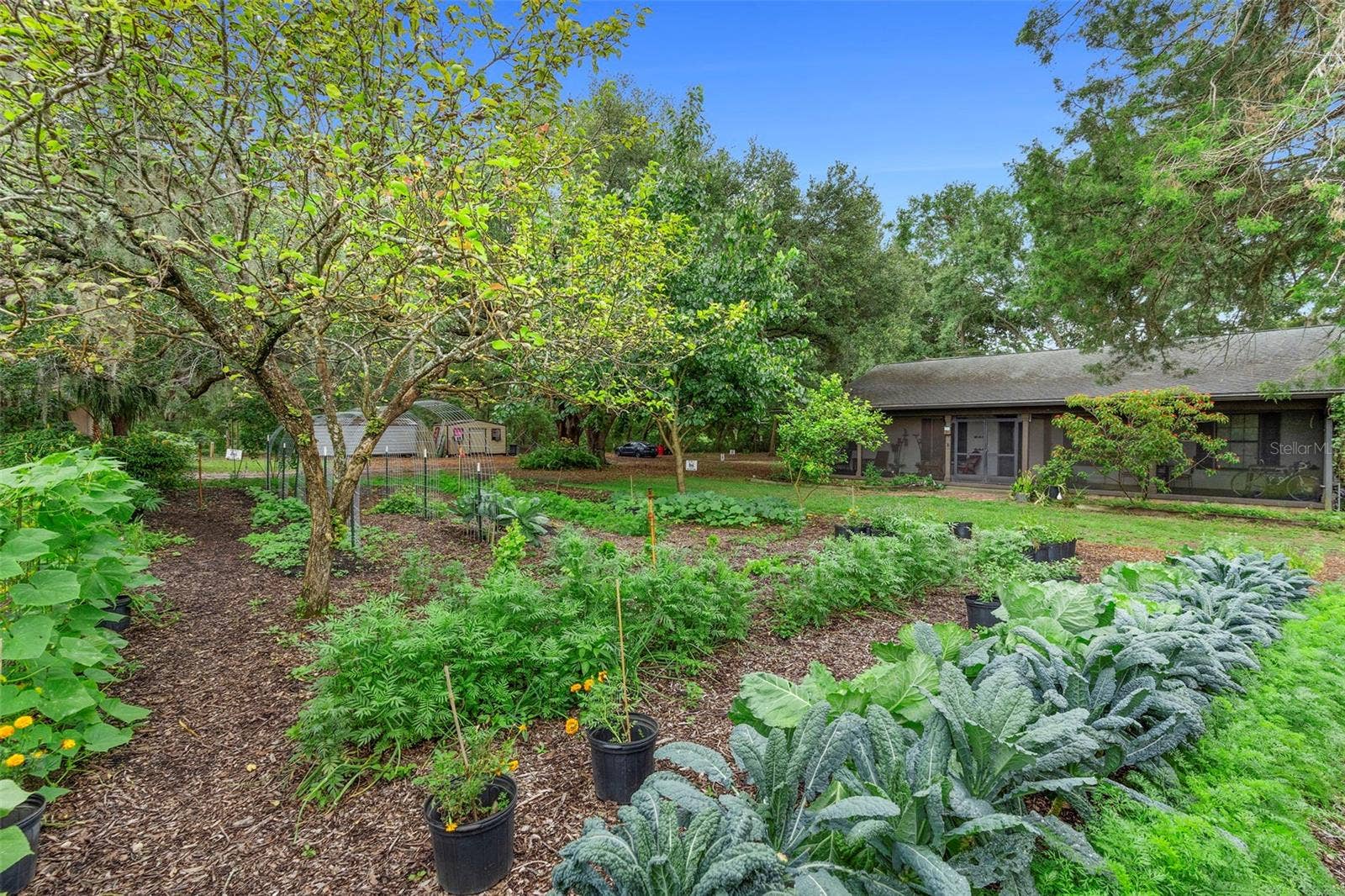 2016 LEWIS ROAD, Leesburg, FL 34748