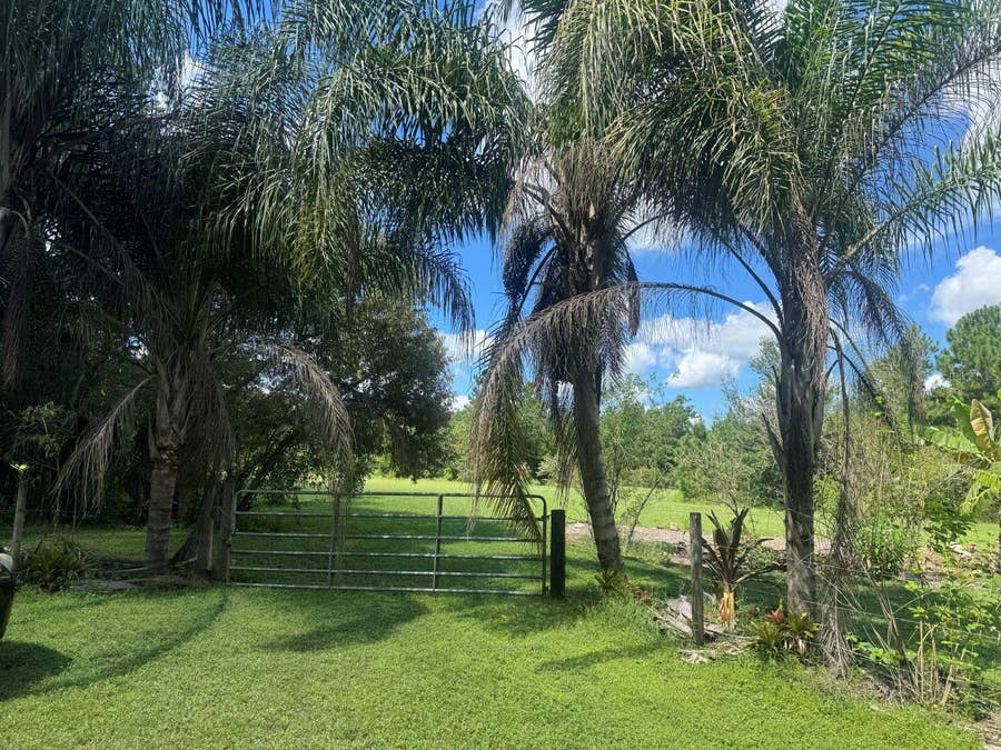 Property photo for MECCA HAMMOCK TRAIL, Sanford, FL
