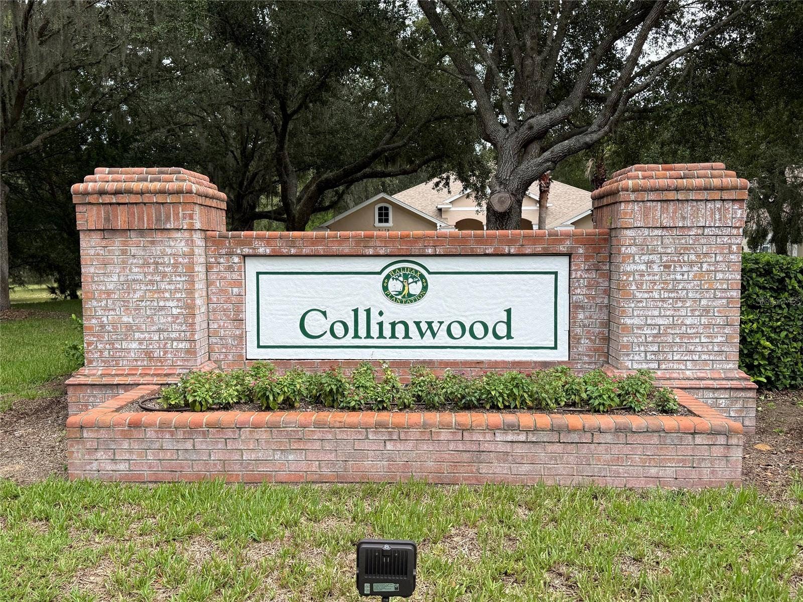 Neighborhood