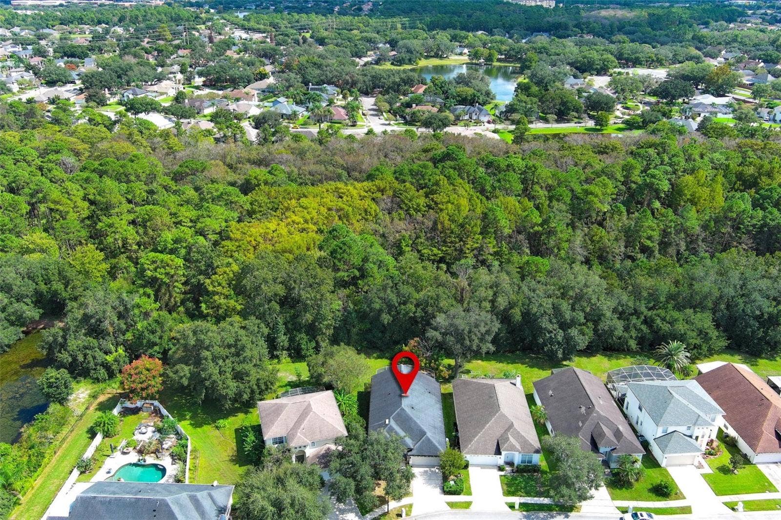 Aerial Views