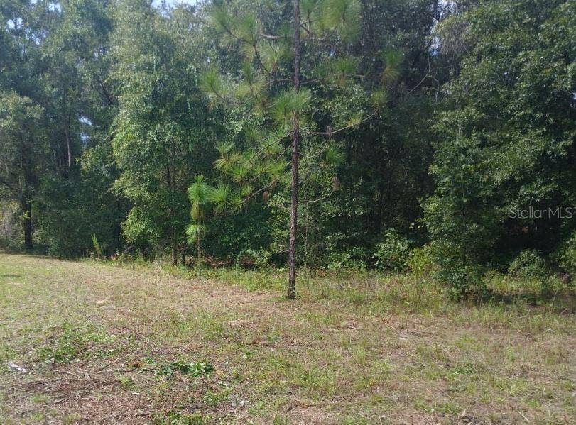 Property photo for 52ND AVENUE NW, Ocala, FL