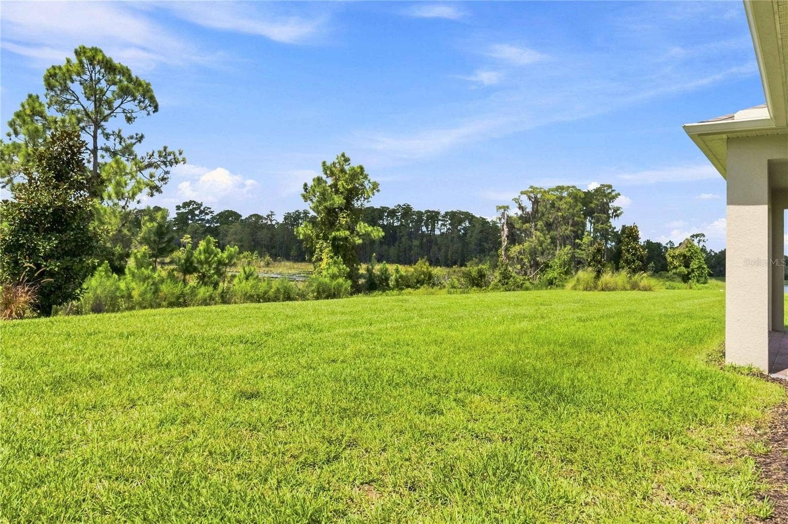 17882 ADRIFT ROAD, Winter Garden, FL 34787 17882 ADRIFT ROAD, Winter Garden, FL 34787