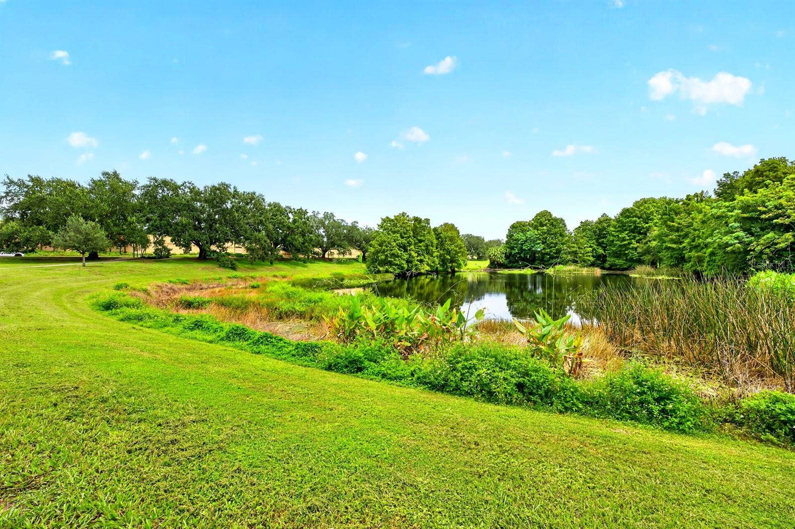 Neighborhood green spaces and water views.