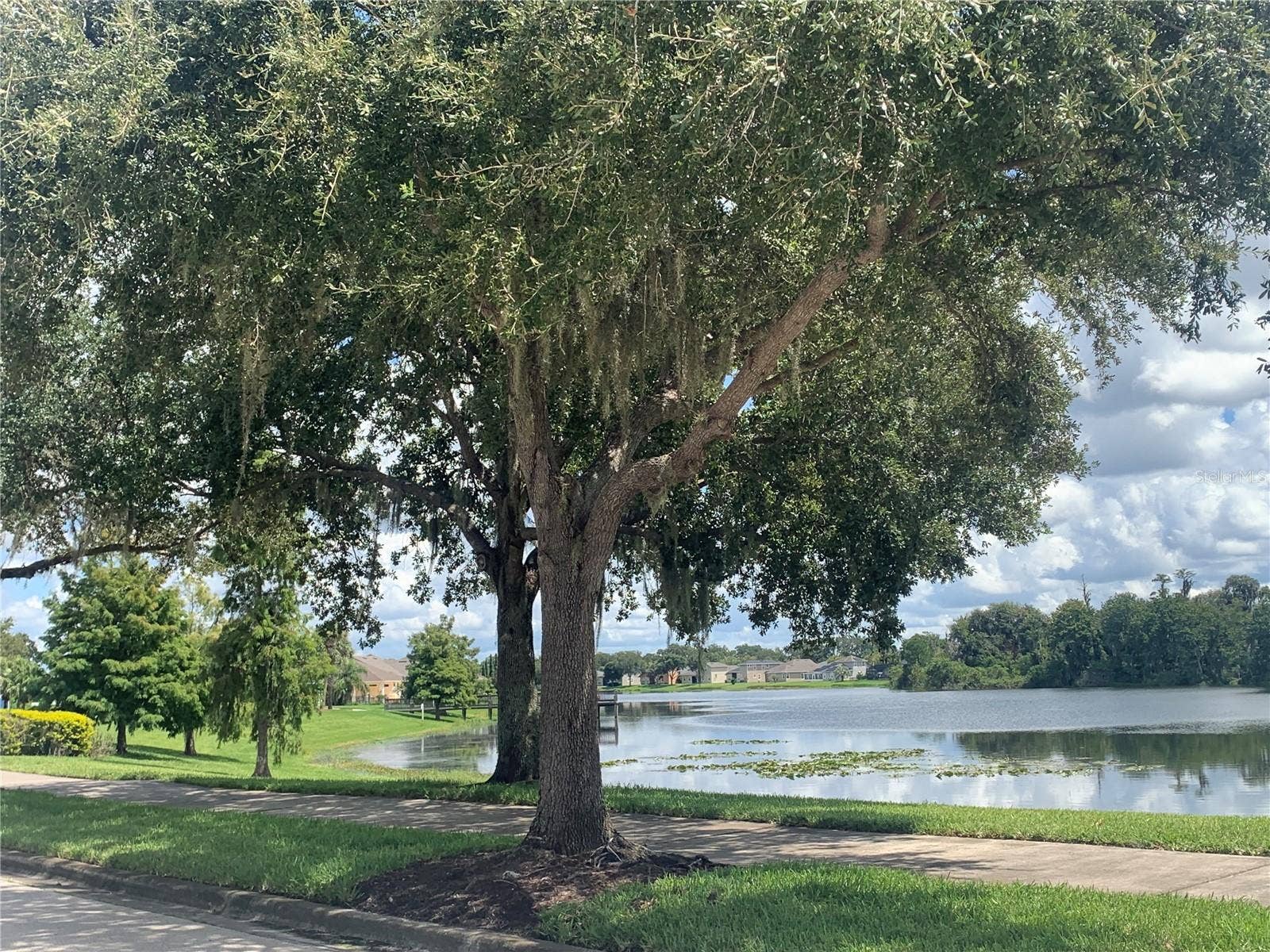 6738 VISTA PARK BOULEVARD, Orlando, FL 32829 VIEW OF THE LAKE FROM THE FRONT DOOR