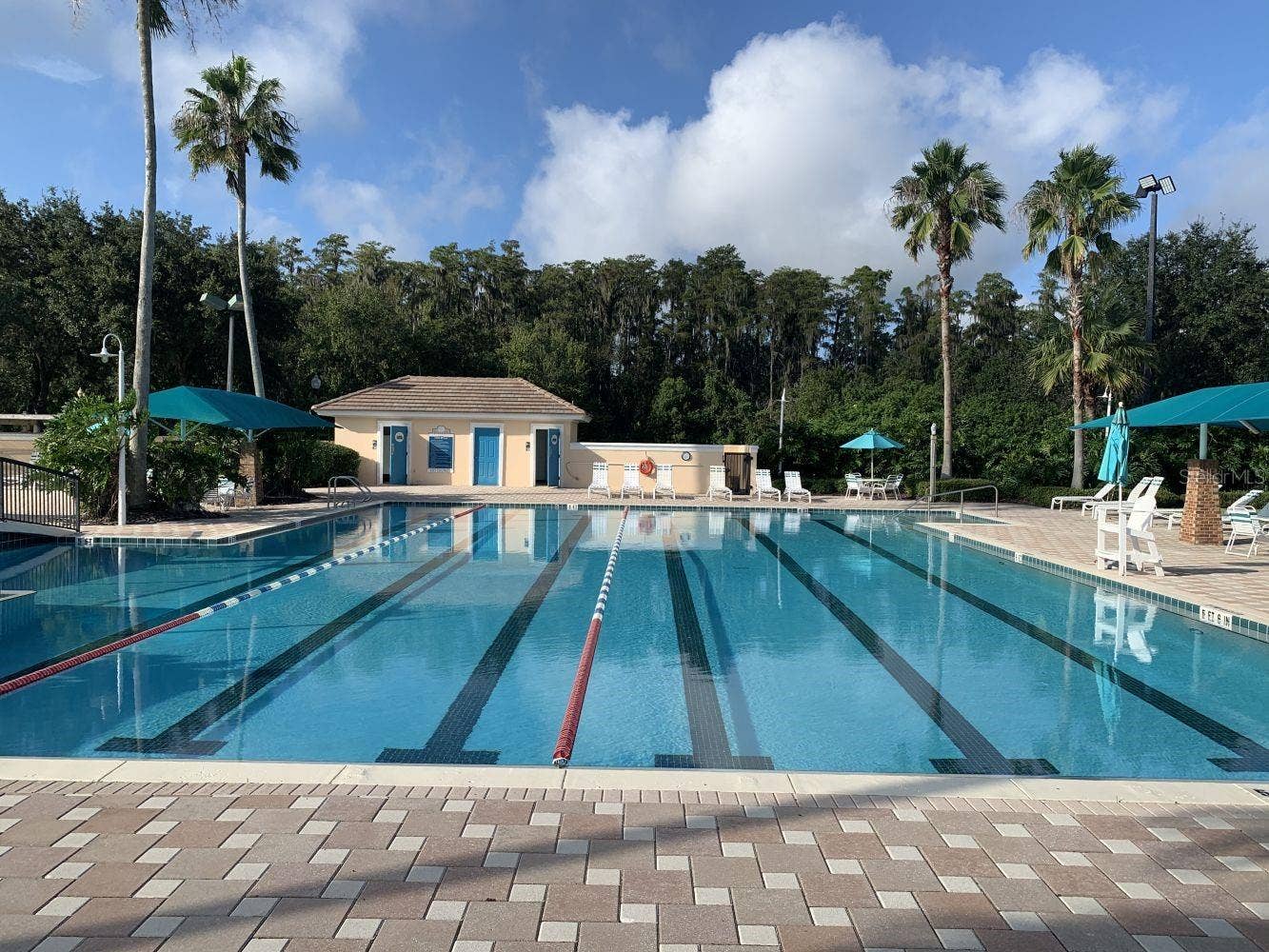 6738 VISTA PARK BOULEVARD, Orlando, FL 32829 LAP POOL
