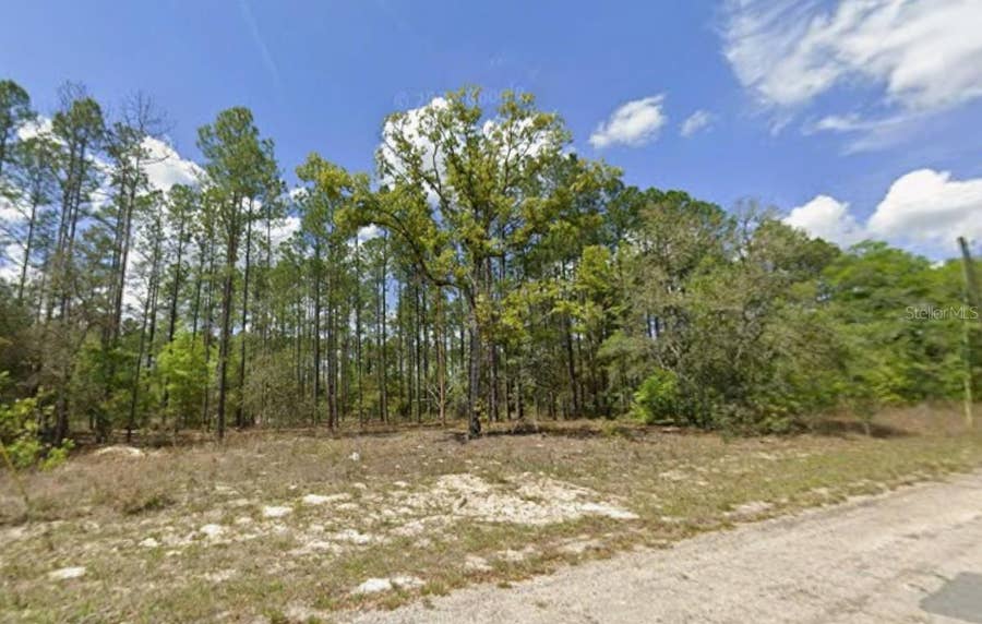 Property photo for 10838 N OCEAN DRIVE, Citrus Springs, FL