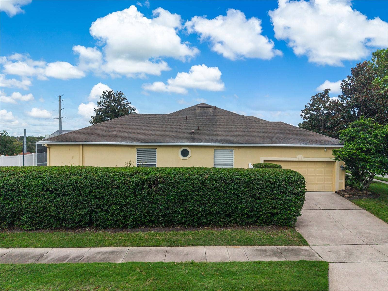 116 OAK GROVE CIRCLE, Lake Mary, FL 32746 Privacy Hedges