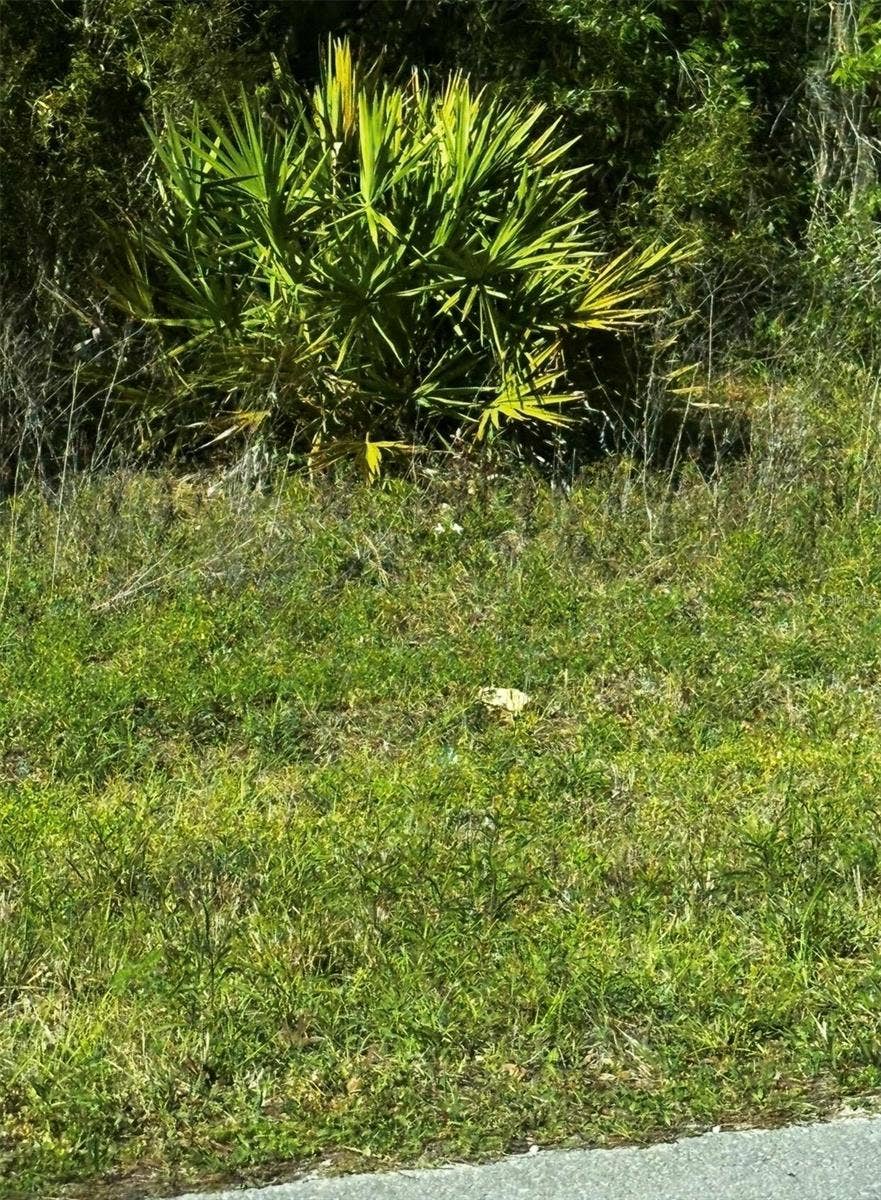 Property photo for 2 SW 24TH PLACE, Ocala, FL
