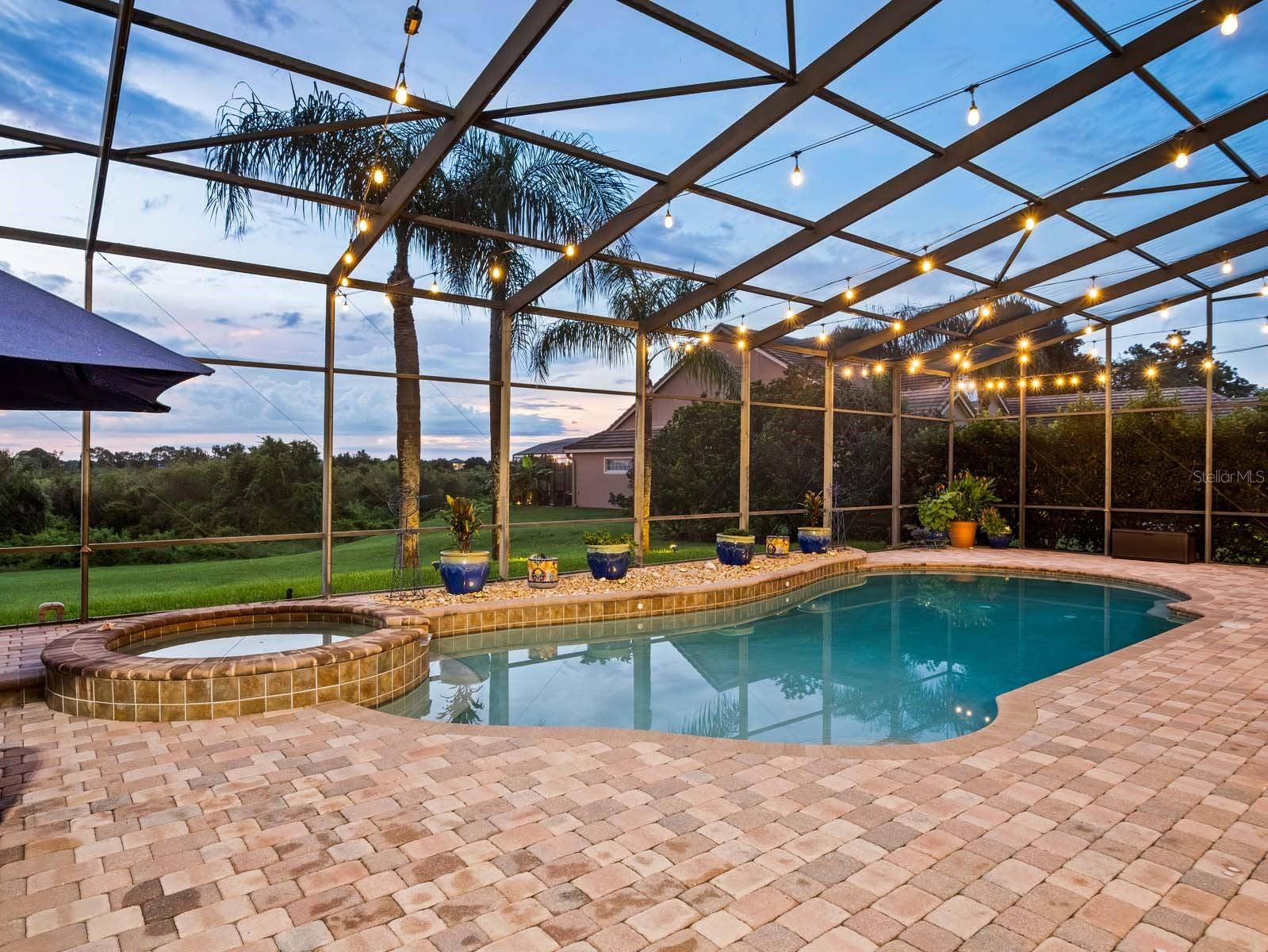 12721 JACOB GRACE COURT, Windermere, FL 34786 Pool