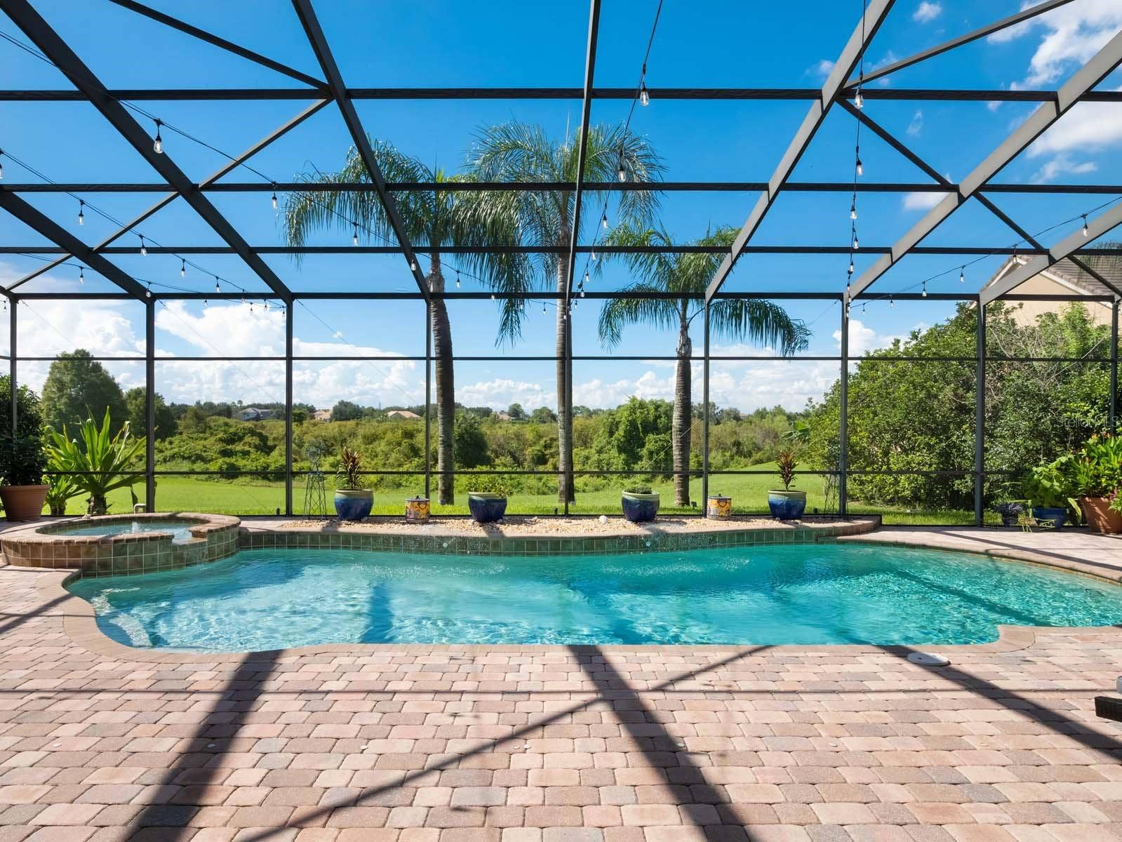 12721 JACOB GRACE COURT, Windermere, FL 34786 Pool