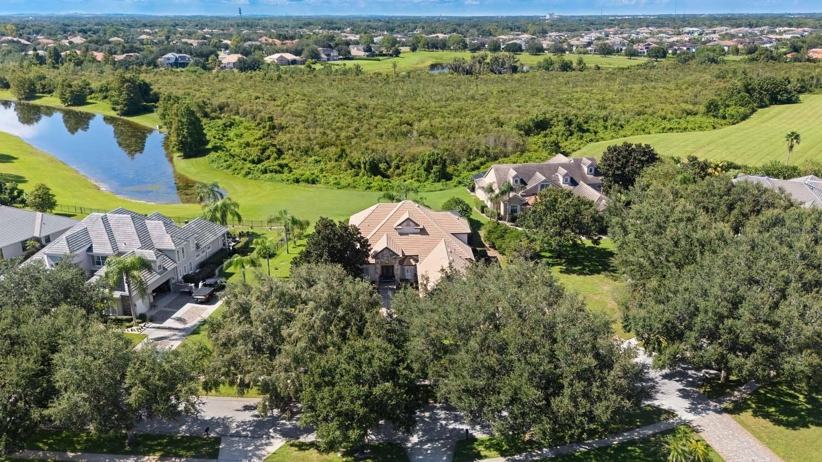 12721 JACOB GRACE COURT, Windermere, FL 34786 Aerial
