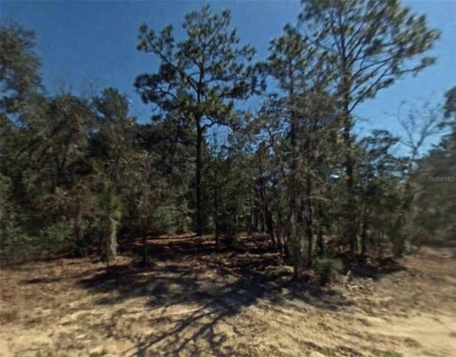Property photo for 2809 OAKRIDGE STREET, Inverness, FL