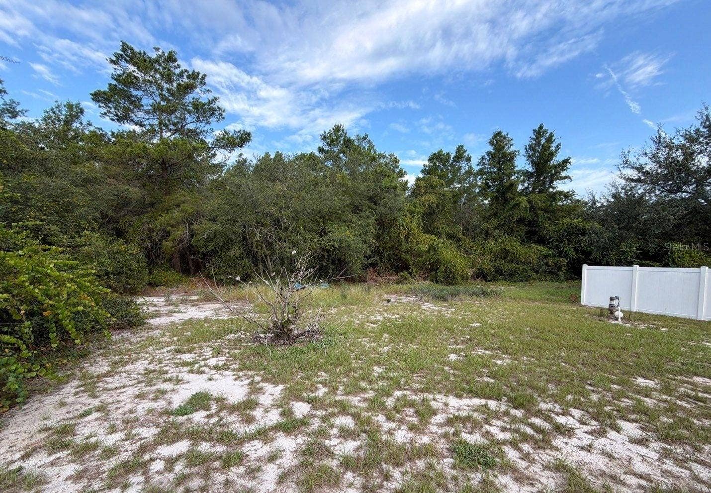 32911 FOREST AVENUE, Leesburg, FL 34788 32911 FOREST AVENUE, Leesburg, FL 34788