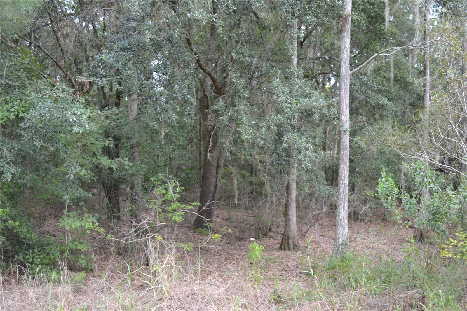 DEEN STILL ROAD W, Polk City, FL 33868 DEEN STILL ROAD W, Polk City, FL 33868