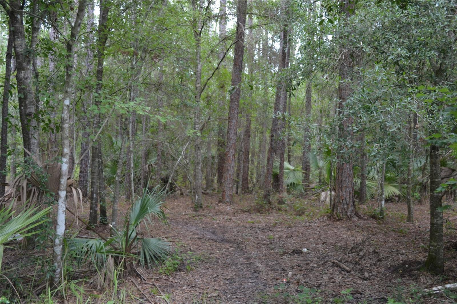 DEEN STILL ROAD W, Polk City, FL 33868 DEEN STILL ROAD W, Polk City, FL 33868