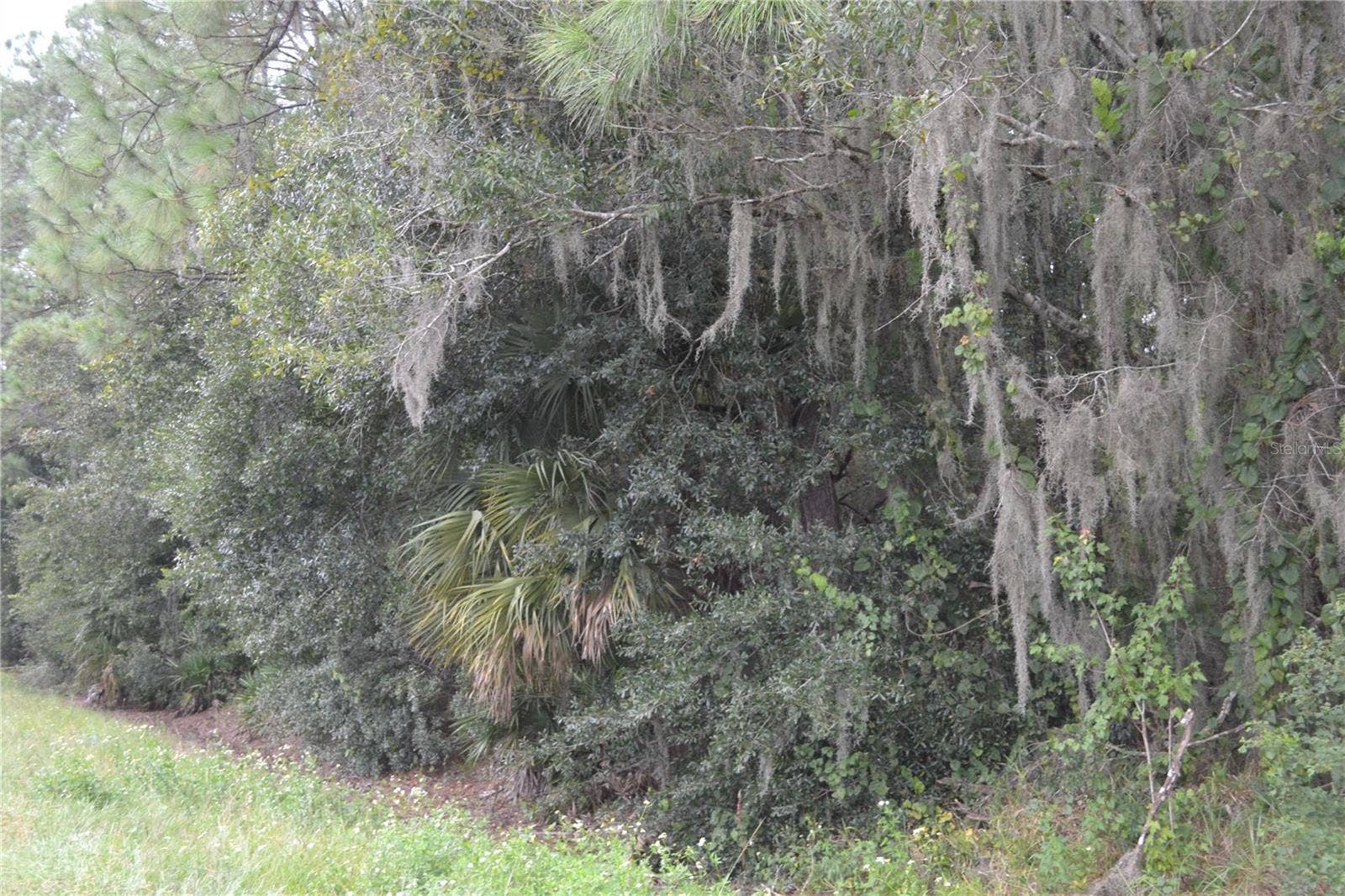 DEEN STILL ROAD W, Polk City, FL 33868 DEEN STILL ROAD W, Polk City, FL 33868