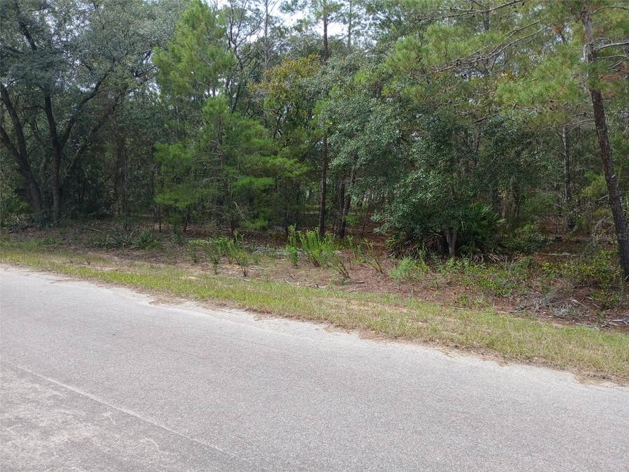 Property photo for SE FISHER COURSE, Ocklawaha, FL