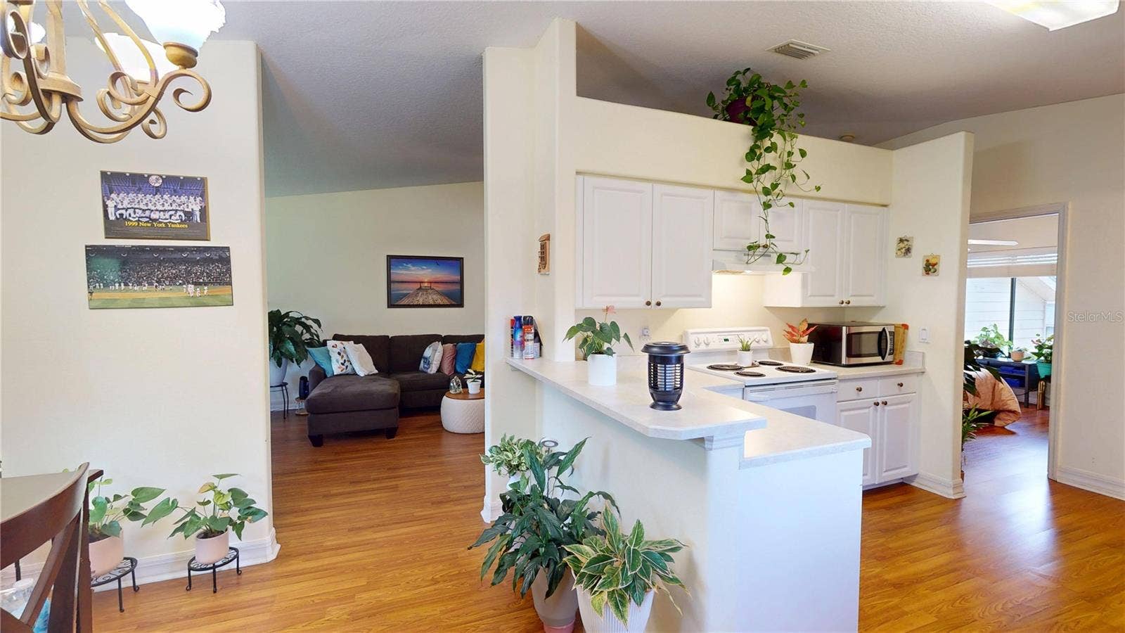 149 BLUE HERON DRIVE, #C, Daytona Beach, FL 32119 149 BLUE HERON DRIVE, #C, Daytona Beach, FL 32119