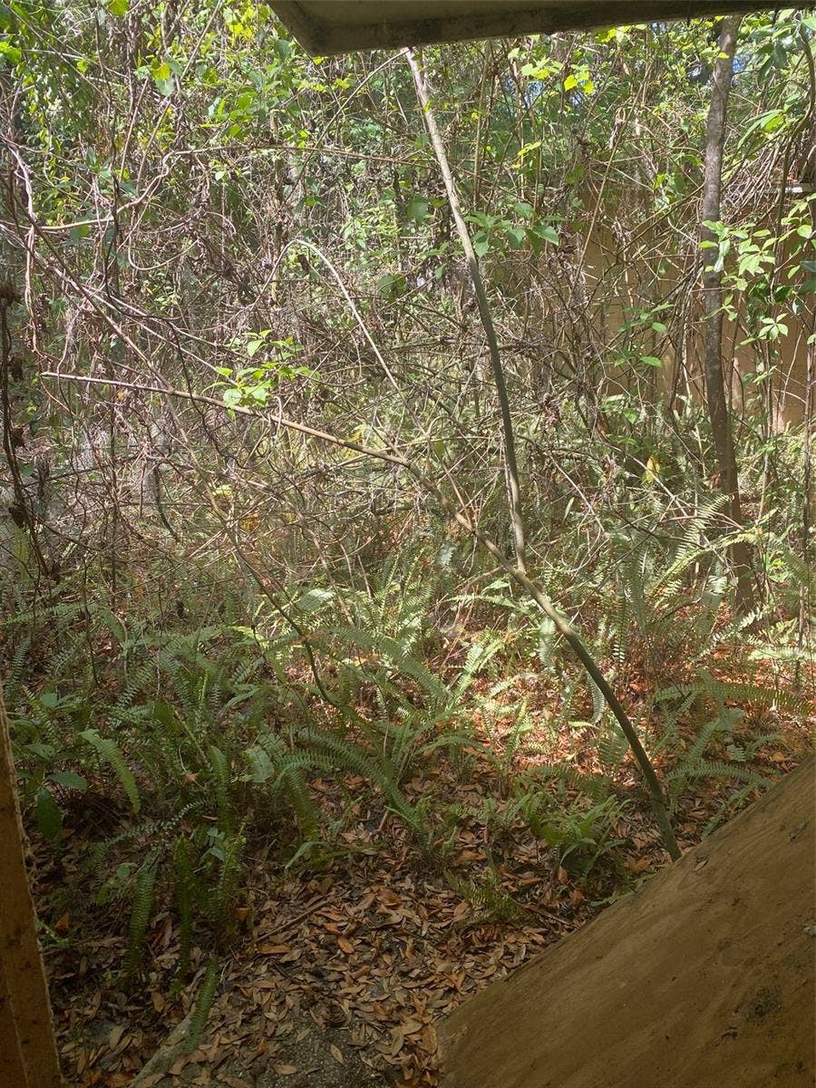 2945 COUNTY ROAD 238, Wildwood, FL 34785