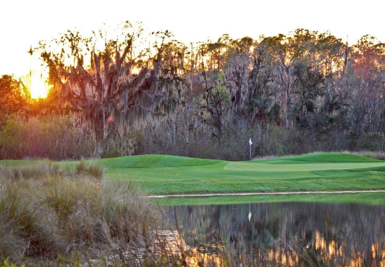 513 MIRASOL CIRCLE, #101, Celebration, FL 34747 Celebration Golf Course