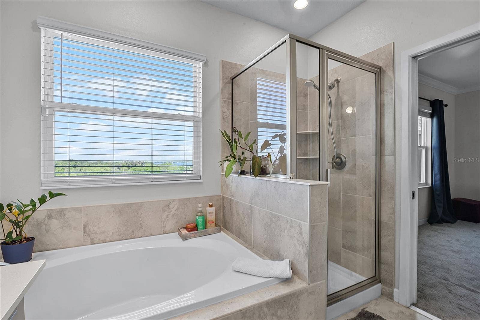 1123 DORA PARC LANE, Mount Dora, FL 32757
