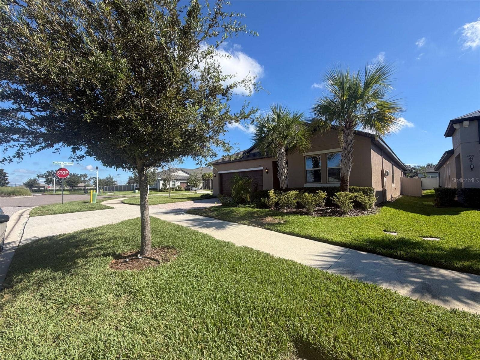 31351 CANNON RUSH DRIVE, San Antonio, FL 33576 31351 CANNON RUSH DRIVE, San Antonio, FL 33576
