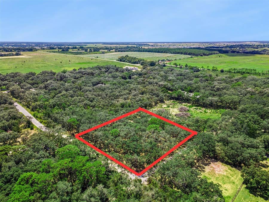 Property photo for 17206 RED BIRD ROAD, Winter Garden, FL
