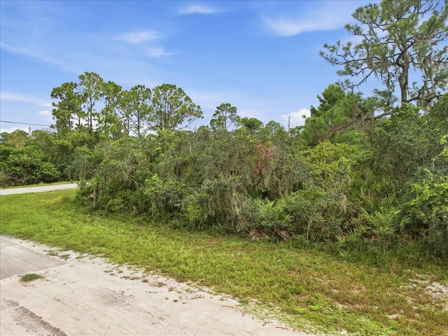 Property photo for 213 MARLIN STREET NW, Lake Placid, FL