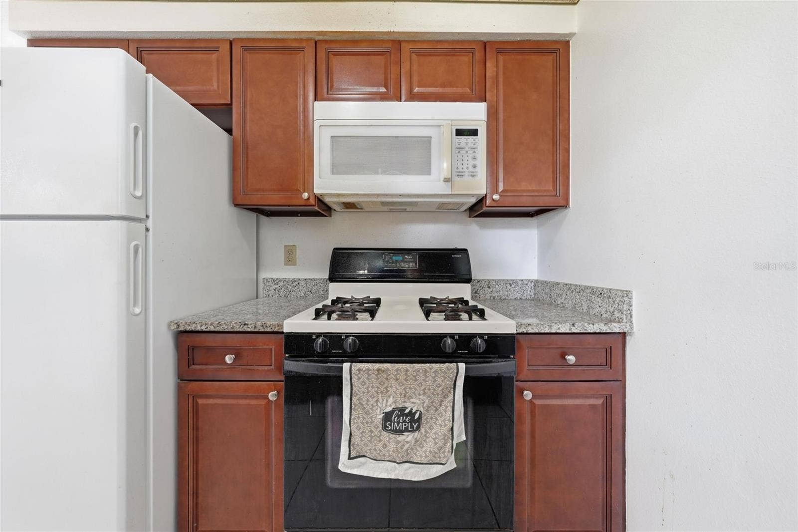1069 MILDRED DIXON WAY, Winter Garden, FL 34787