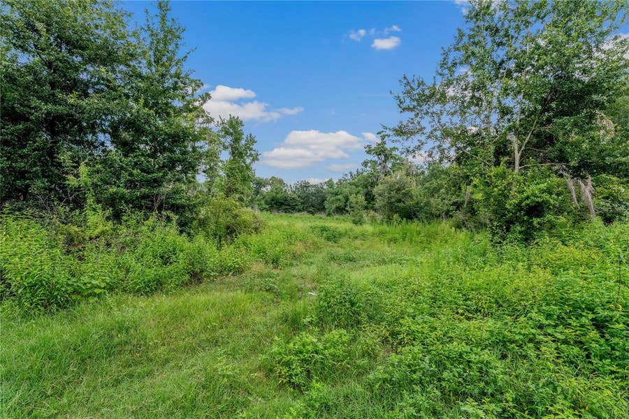 Property photo for 5566 HARVEY TEW ROAD, Plant City, FL