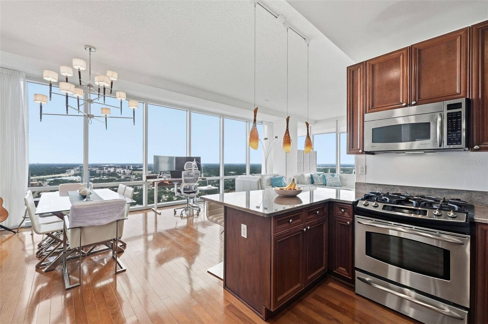 150 E ROBINSON STREET, #3209, Orlando, FL 32801 150 E ROBINSON STREET, #3209, Orlando, FL 32801