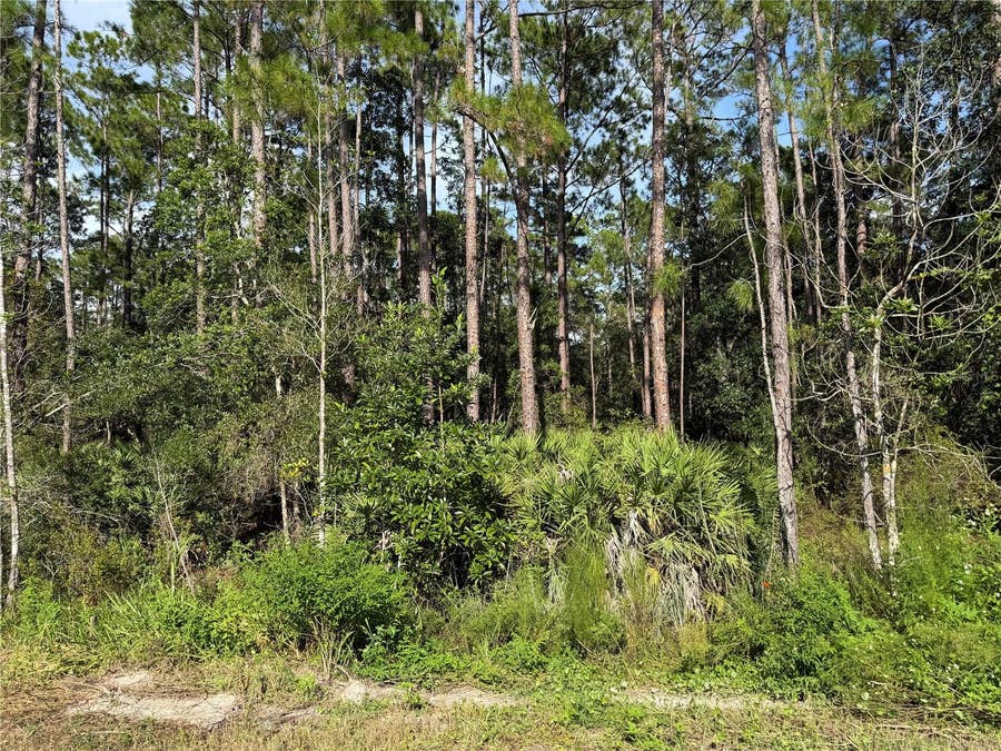 Property photo for 10TH AVENUE, Deland, FL