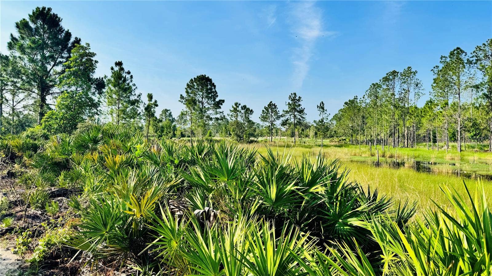 692 BIRDSWILL LANE, Deland, FL 32724 692 BIRDSWILL LANE, Deland, FL 32724