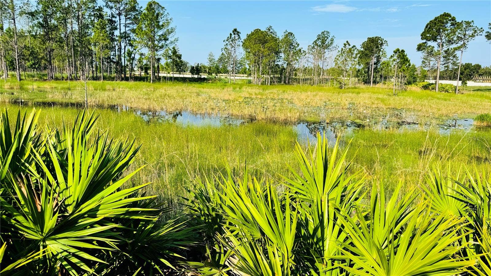 680 BIRDSWILL LANE, Deland, FL 32724 680 BIRDSWILL LANE, Deland, FL 32724