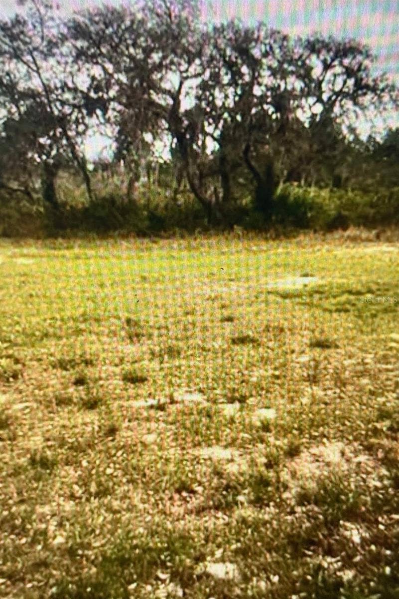 CENTRAL AVENUE, Frostproof, FL 33843