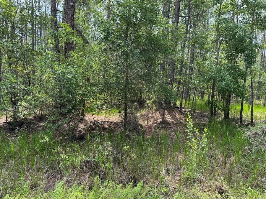 Property photo for SW 143 PLACE, Ocala, FL
