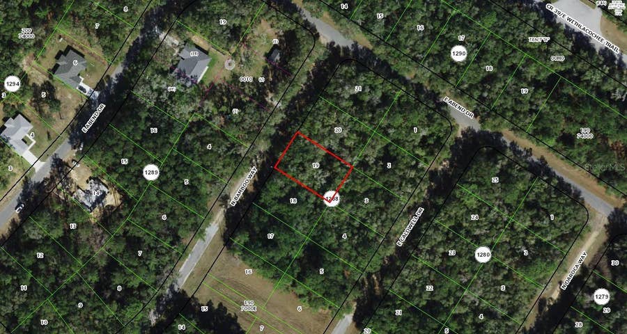 Property photo for 10063 N BAMBOO WAY, Citrus Springs, FL