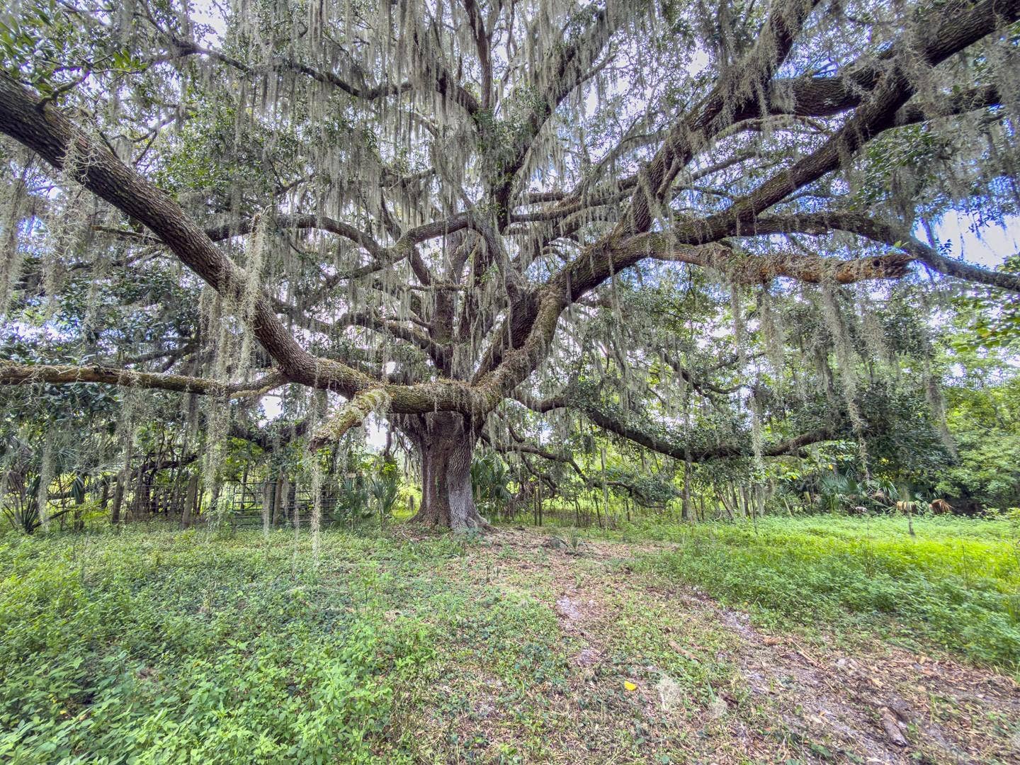 6177 COUNTY RD 625, Bushnell, FL 33513 6177 COUNTY RD 625, Bushnell, FL 33513