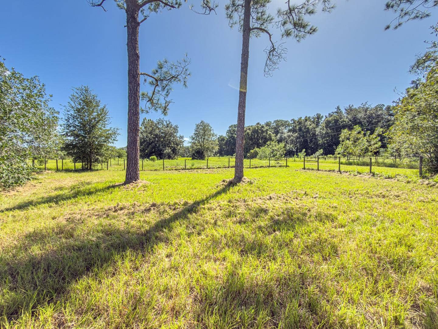 6177 COUNTY RD 625, Bushnell, FL 33513 6177 COUNTY RD 625, Bushnell, FL 33513