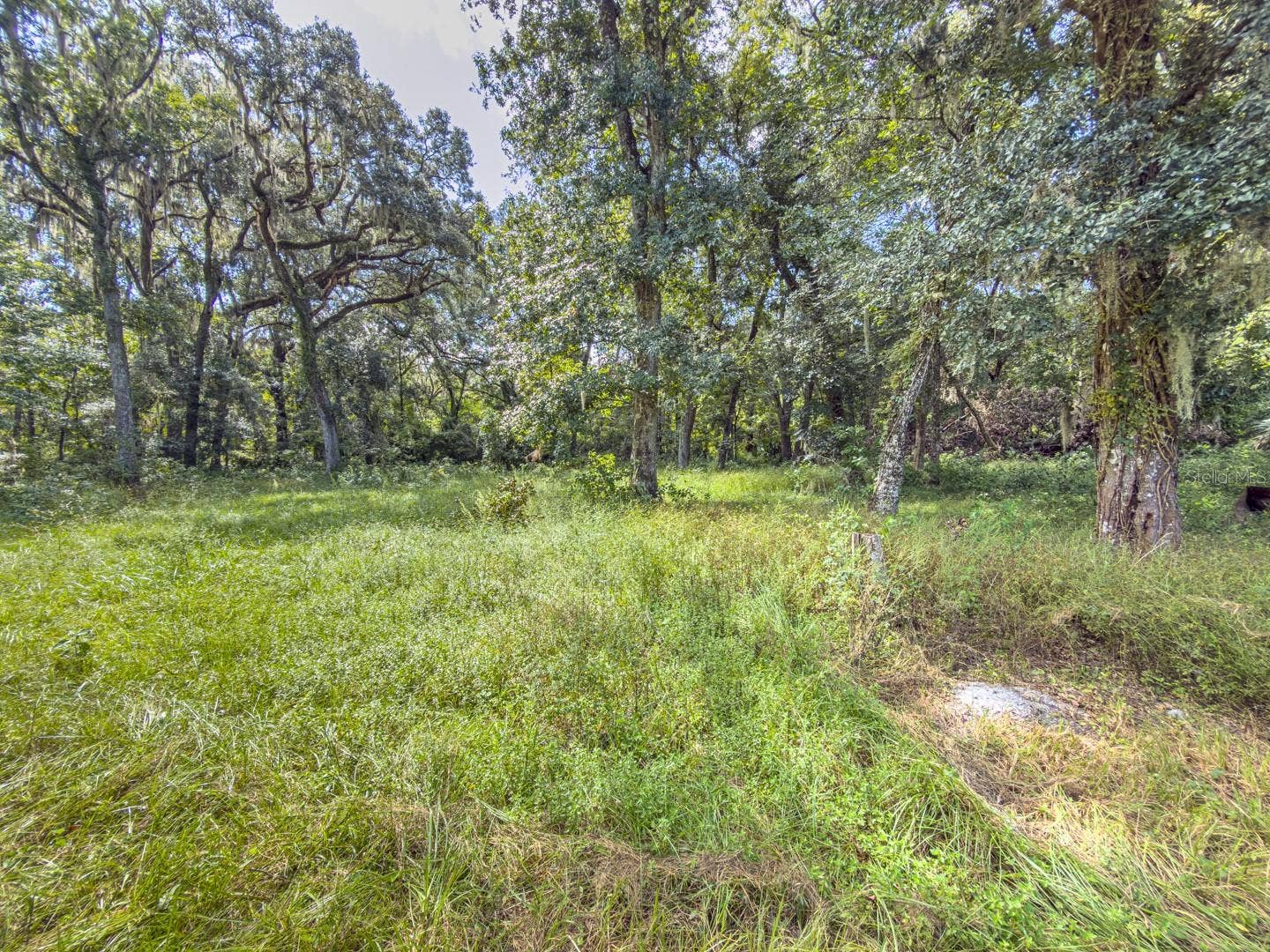 6177 COUNTY RD 625, Bushnell, FL 33513 6177 COUNTY RD 625, Bushnell, FL 33513