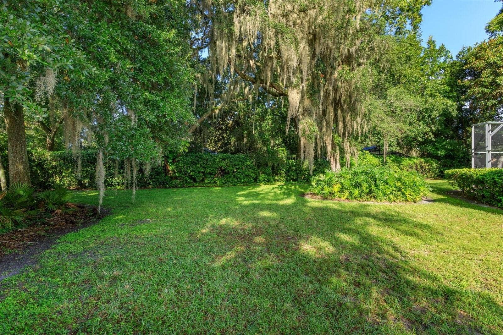 536 AVON GLADE PLACE, Sanford, FL 32771 Peaceful backyard
