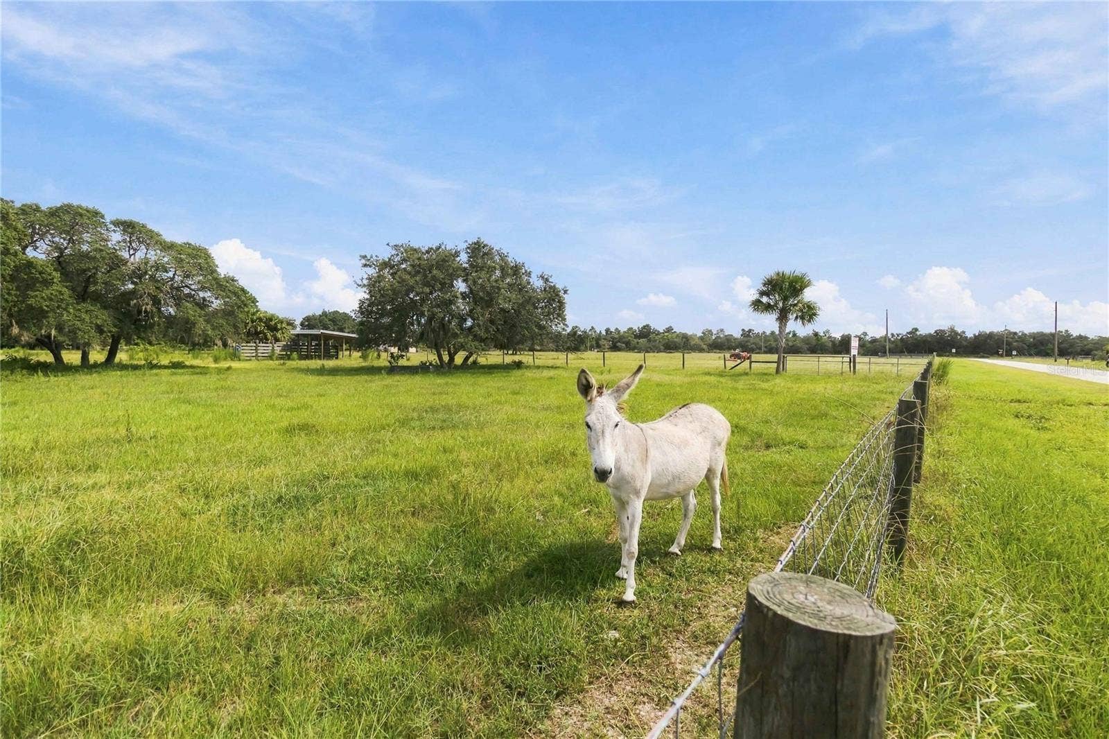 RANCH ROAD, Astatula, FL 34705 RANCH ROAD, Astatula, FL 34705