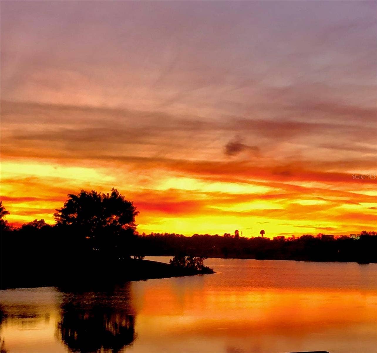 3828 BROOKMYRA DRIVE, Orlando, FL 32837 Imagine seeing this every night!