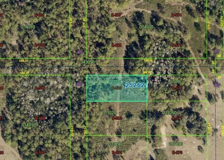 25-26-21-000000-023200, Polk City, FL 33868 25-26-21-000000-023200, Polk City, FL 33868